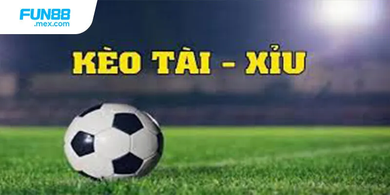 Đừng đặt theo cảm tính