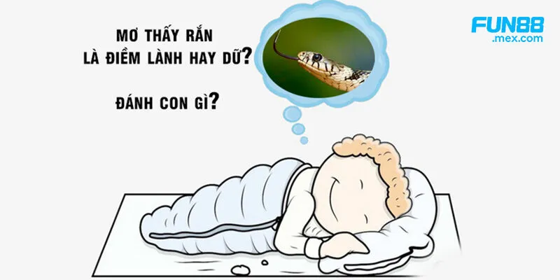 Mơ thấy rắn có gì đáng quan tâm?